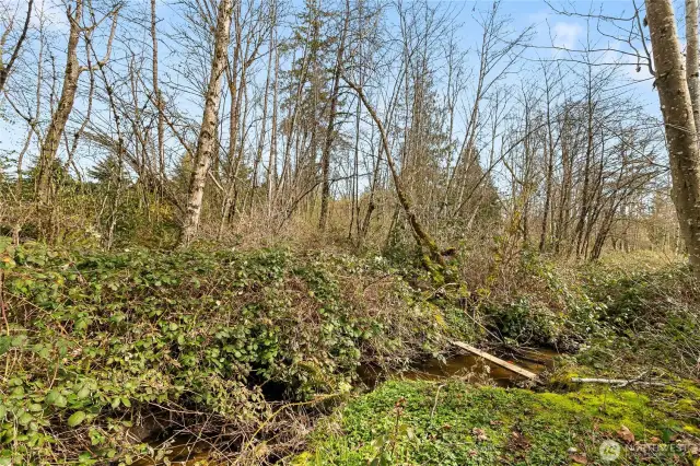 Creek on property