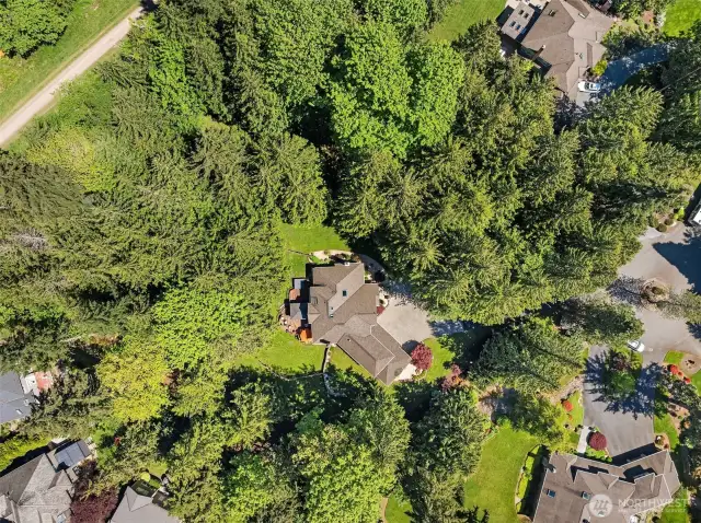 Located in serene Lake of the Woods in Woodinville, this home boasts not only beauty and tranquility but also spaciousness. Set upon a large lot and surrounded by old-growth cedar trees, the home itself is stately and sure to impress. This is the perfect spot for anyone seeking a place filled with peace and quiet.