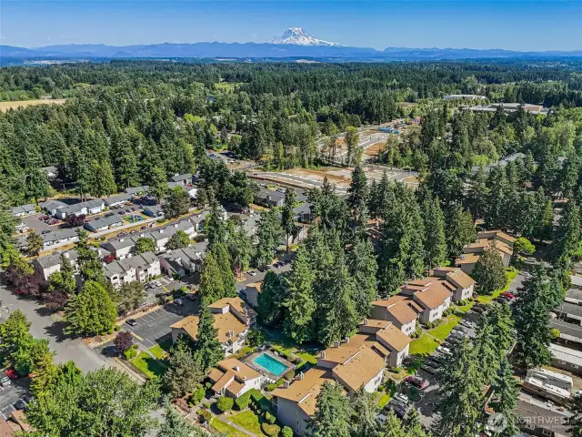 Aerial View of the Condo Complex
