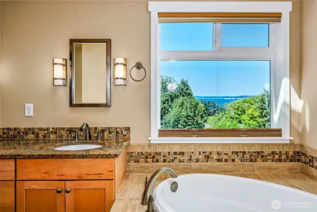 Gorgeous View from the tub/shower