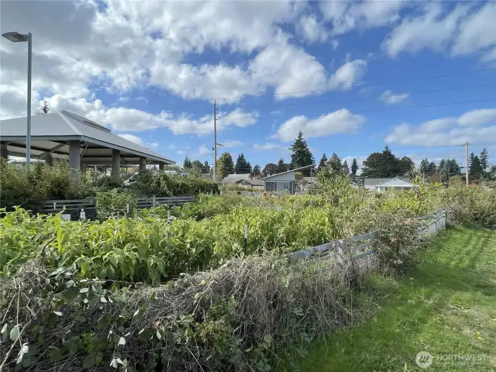 Nearby Senator Henry M. Jackson Park offers scenic community paths that meander past a dog park and a vibrant community garden and picnic shelter.