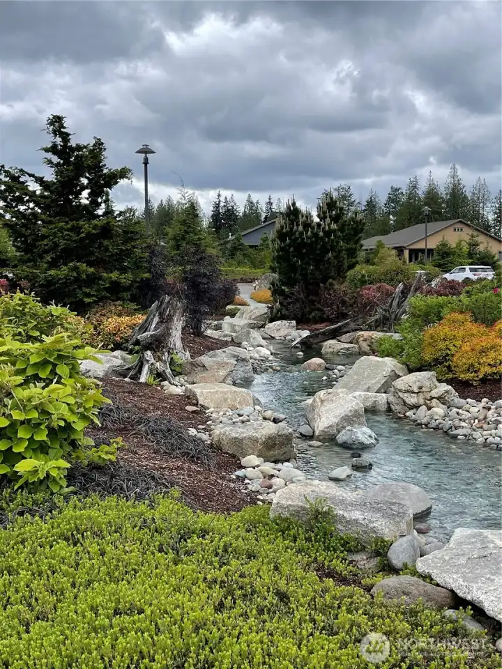 Trilogy at Tehaleh - a premiere SUPER ACTIVE 55 and better community - where nature is woven into literally everything we do and everything we are.
