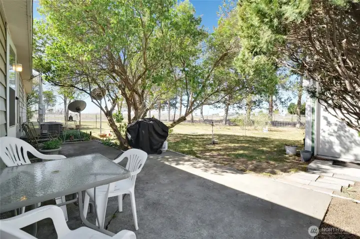 Peaceful. Shaded back patio.