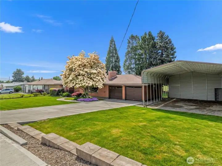 Driveway & RV Carport Parking