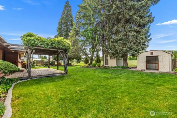 View of Deck, gardeners storage sheds