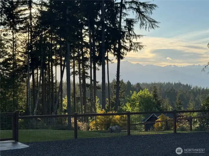 Twilight View of Olympics from Driveway