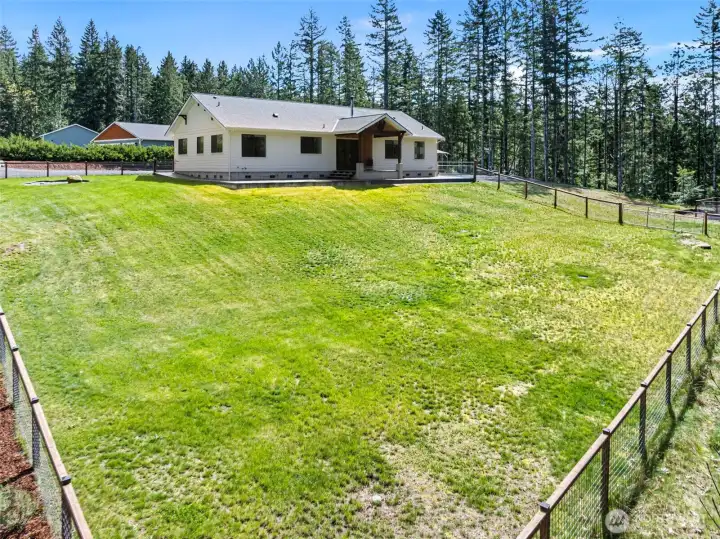 Fenced back yard