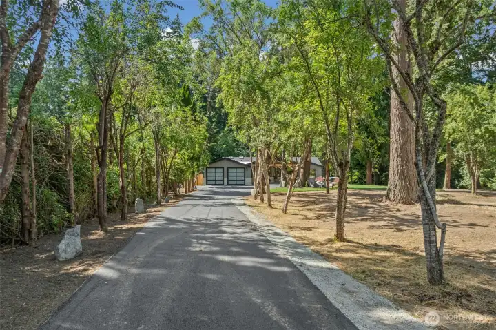 A newly paved driveway winds through a canopy of mature trees, offering a private, park-like approach to the home. This tree-lined entrance sets a tranquil tone, giving a true sense of arrival before you even step through the door. A newly paved driveway winds through a canopy of mature trees, offering a private, park-like approach to the home. This tree-lined entrance sets a tranquil tone, giving a true sense of arrival before you even step through the door.