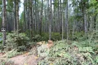 Looking Northwest through the center of the property