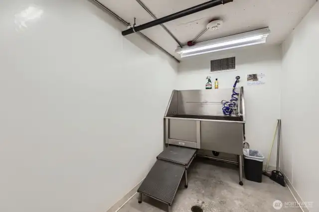 Pet wash room