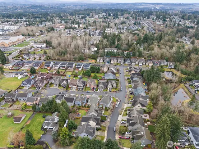 Walking distance to Lea Hill Elementary School, in the top-left of this photo.