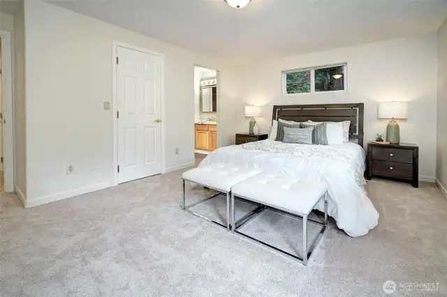Primary bedroom with walkin closet