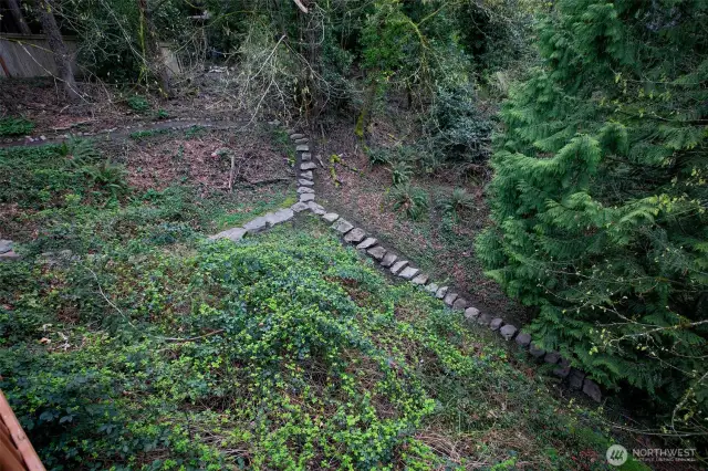 Back garden
