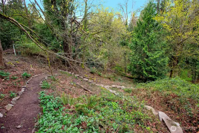 Easy care garden