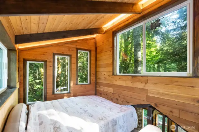 Sleep among the trees!!