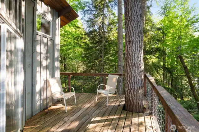 Sit among nature and breath it all in