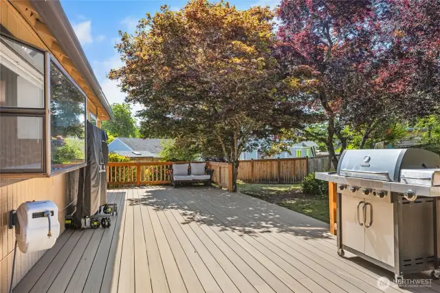 Beautiful Trex deck