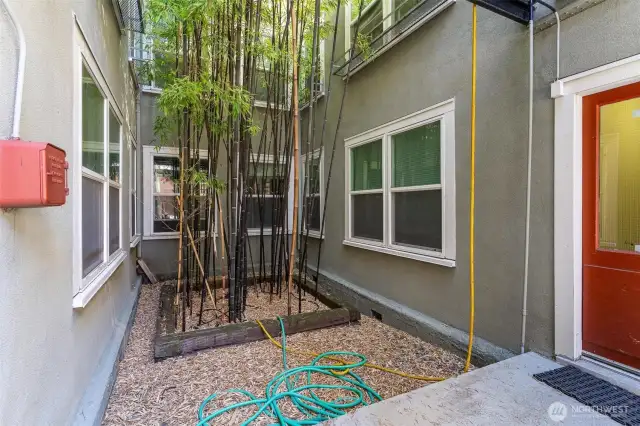Courtyard close up