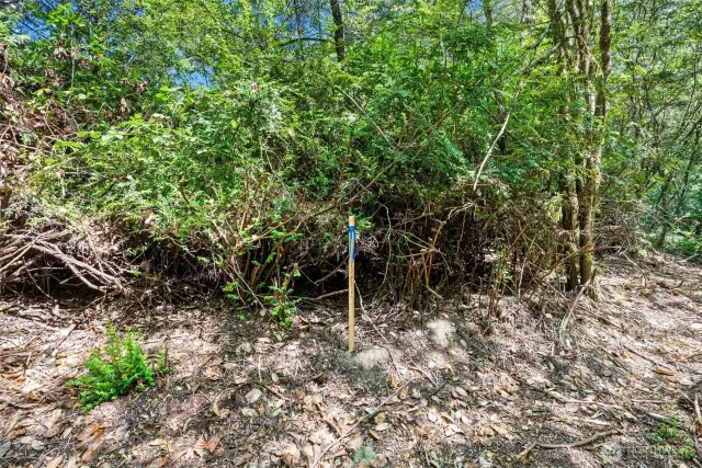 This is the West property line of Parcel A (1.55 acres) and beginning of Parcel B (2.47 acres).
