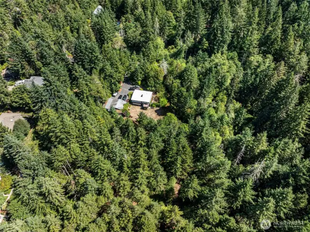 Aerial view of Parcel A.