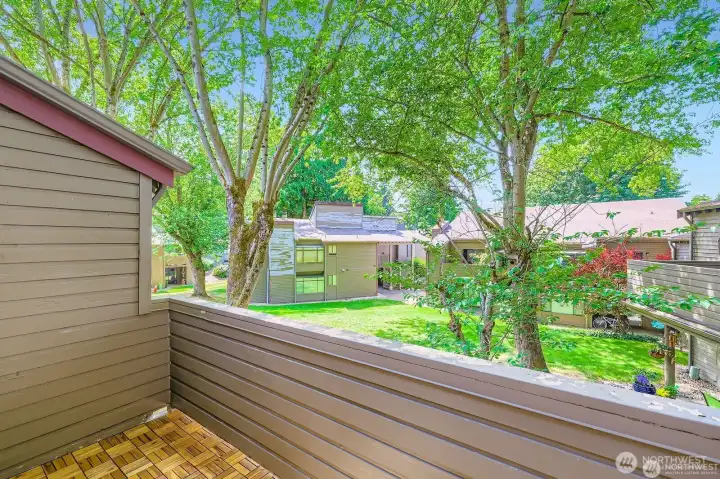 Balcony Overlooking Tree Tops in Park-Like Courtyard