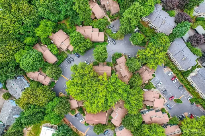 Community with Trees and Trails
