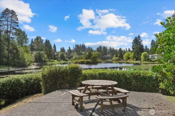 Enjoy a picnic at the Lake.