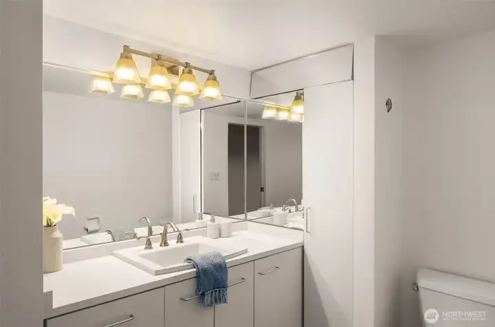 Lower level full bath