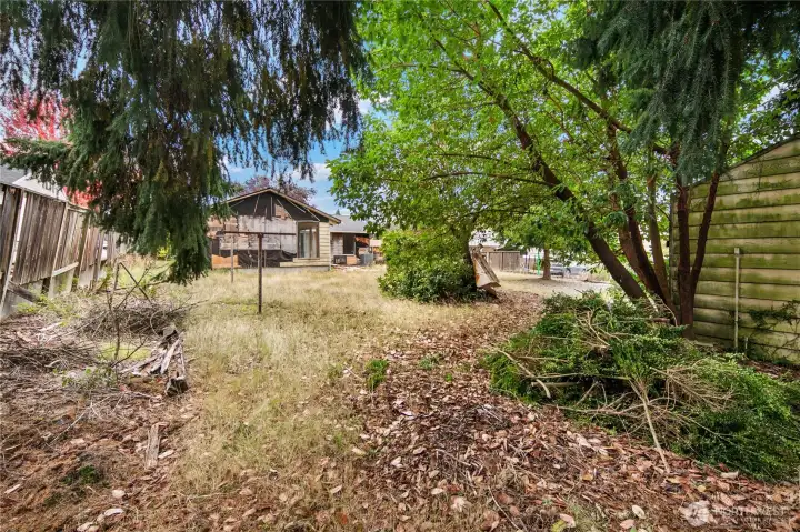 Back yard with amazing foliage, mature trees, level lot, and detached garage to the right.