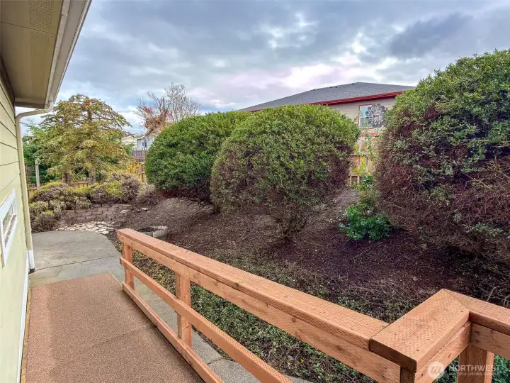 Useful ramp off back door.