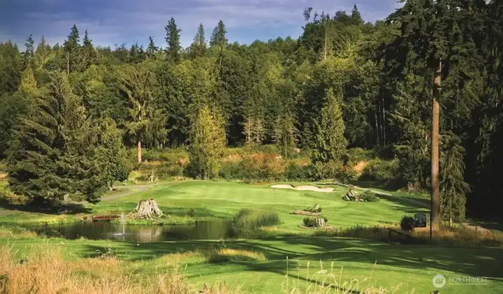 Port Ludlow Golf