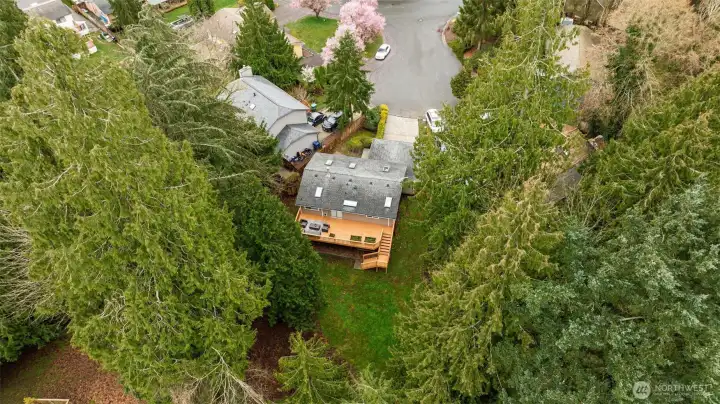 The home is surrounded by nature while still being close to it all.