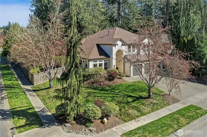 Drone view of your amazing home and corner lot.