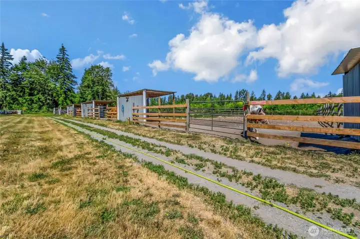 6 paddocks 50x150 all have its own shelter and includes power and water 6 paddocks 50x150 all have its own shelter and includes power and water
