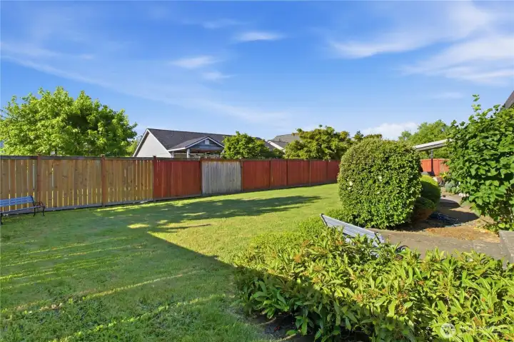 Large, Beautiful, nicely manicured, flat & sunny backyard! Also is fully fenced. Large, Beautiful, nicely manicured, flat & sunny backyard! Also is fully fenced.