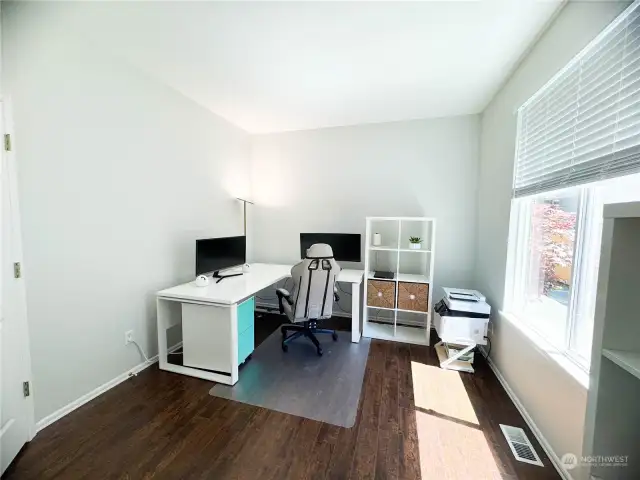 Spacious office with walk-in closet for plenty of storage! Light and natural.