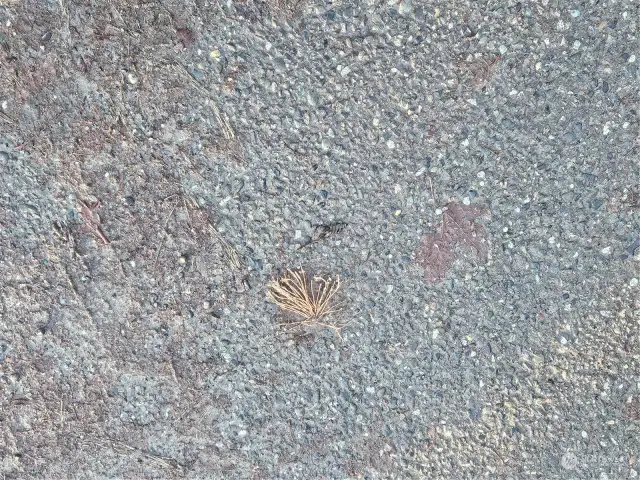 Marker in the road is painted orange so you can see it.