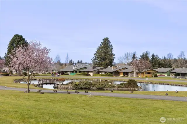 ... that looks out at the Pond!