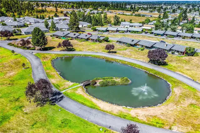 Pond View