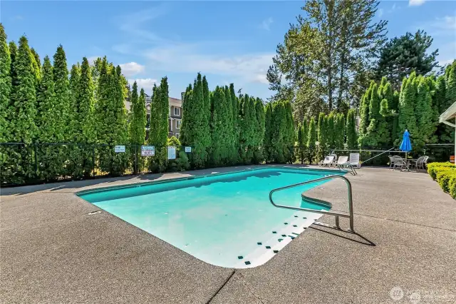 Village at Redondo Amenities