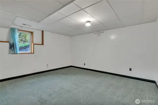 Lower level bedroom.