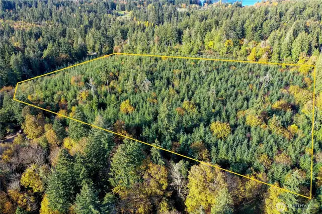 Entire 15 acres with Southeast corner below going left along Southern border to Cornwall Road with access ready to constuct.