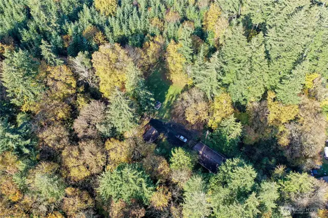 Lower Cornwall Road ending at Lorenze.