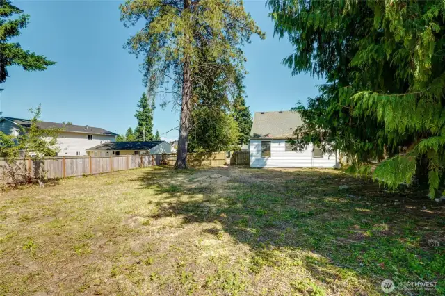 This is the other angle of the backyard.