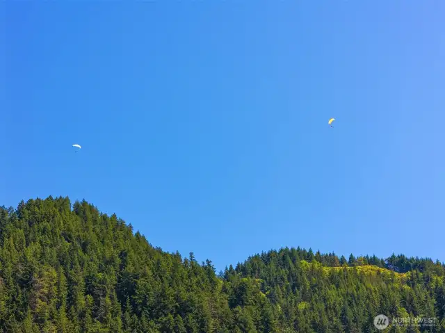 Terrific views of Para gliders off Tiger Mountain