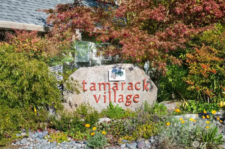 Tamarack Village community!