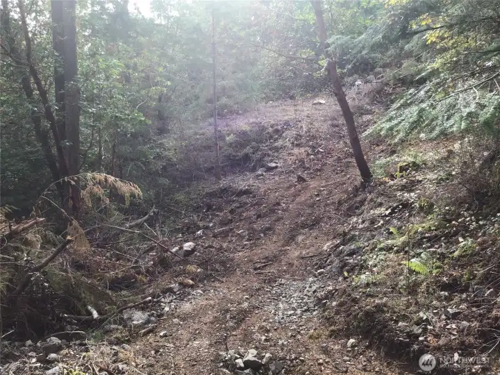 This pic is taken from just down the driveway opening looking south to where you could build. As mentioned, the included plans are for a side-entry 2 car garage this northern side of the home site.