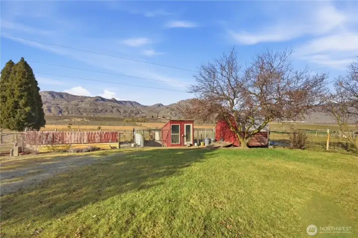 Tool Shed, Chicken Coop, Dog Run