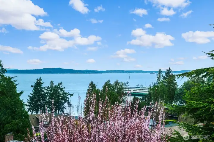 Views of the sound, Vashon Island and Olympic mountains
