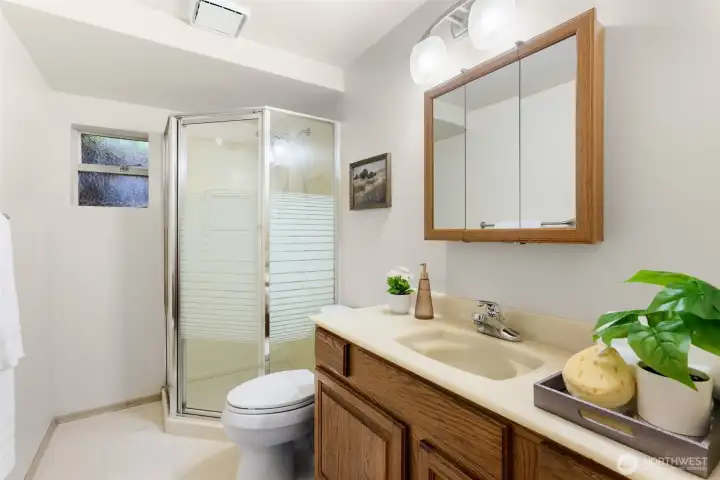 Lower level 3/4 bath